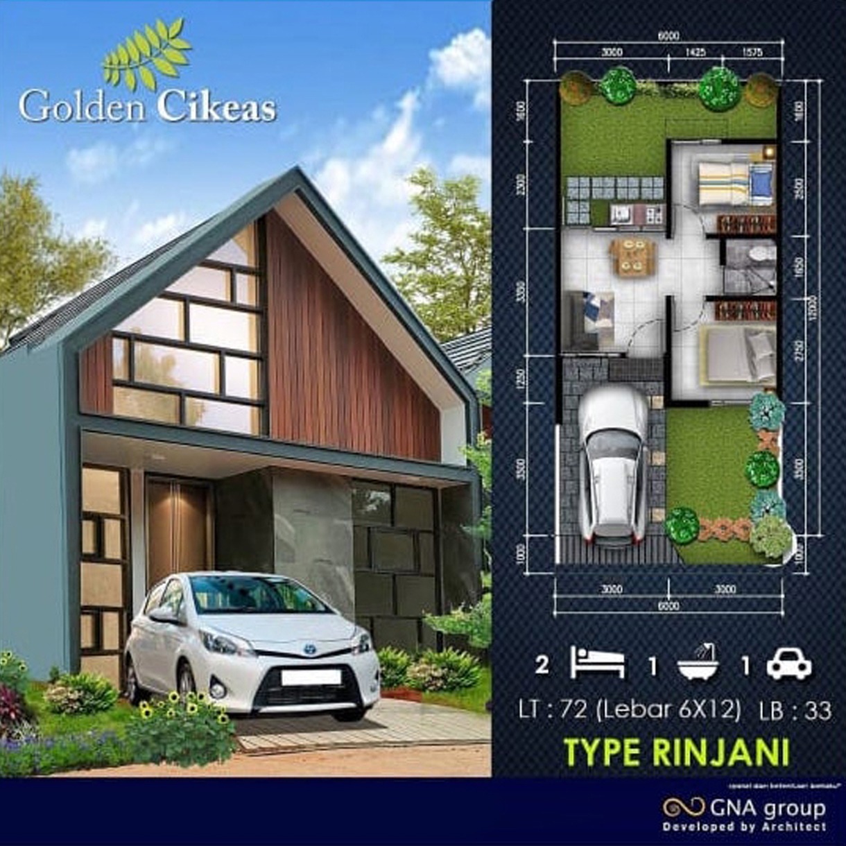 GOLDEN CIKEAS